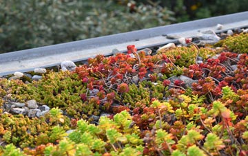 the cost of Rose An Grouse green roof installation