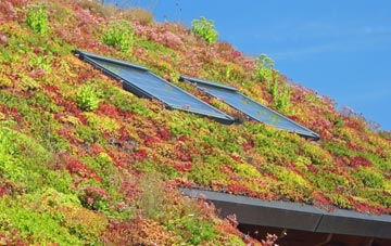 Rose An Grouse living roof systems