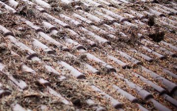 Rose An Grouse roof cleaning companies